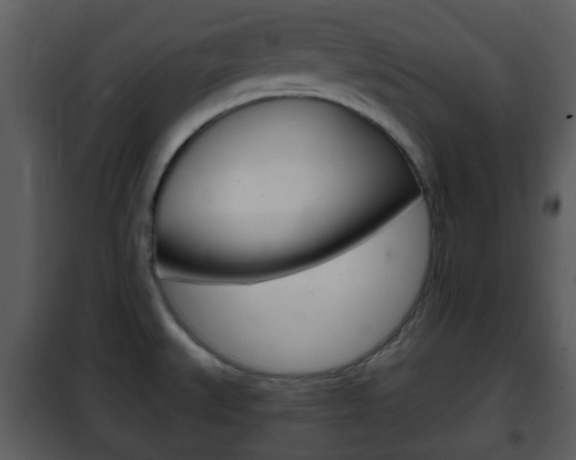 X0000101981527200807180748