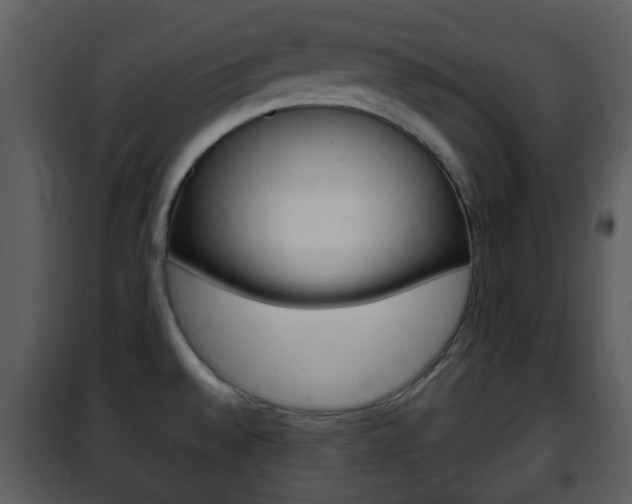 X0000101981528200807180748