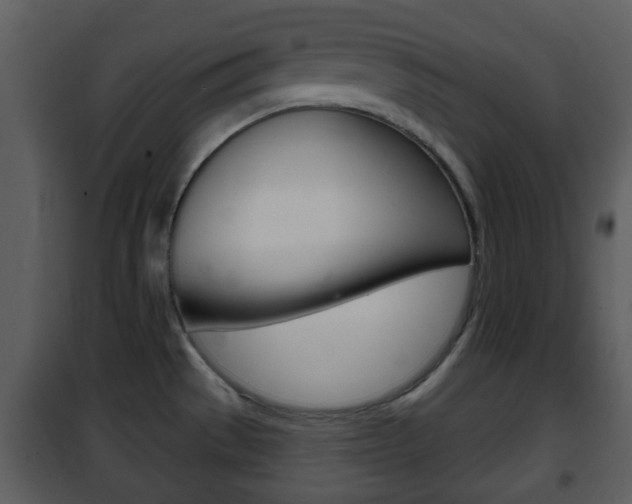 X0000101981529200807180748