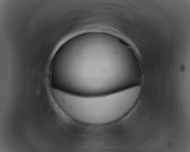 X0000101981530200807180748