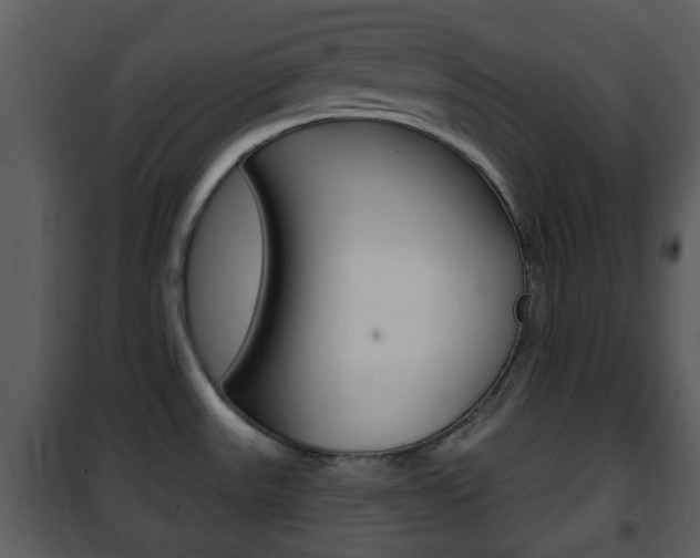 X0000101981531200807180748