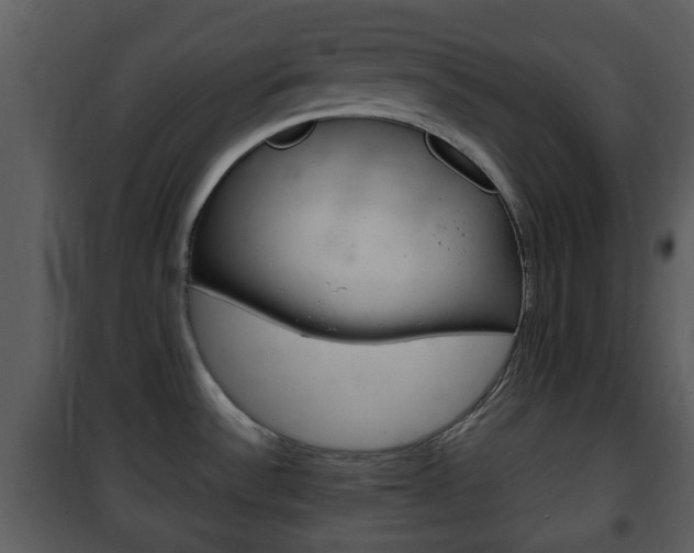 X0000101981532200807180748