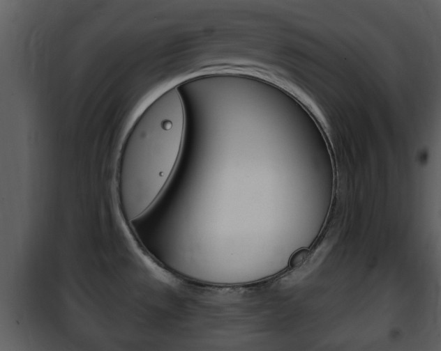 X0000101981533200807180748