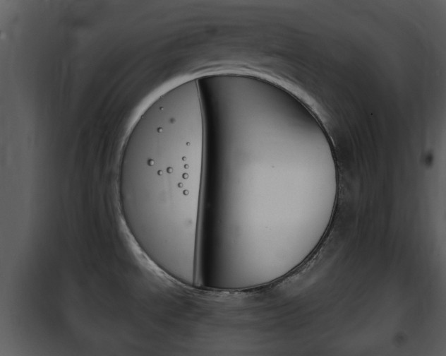 X0000101981534200807180748