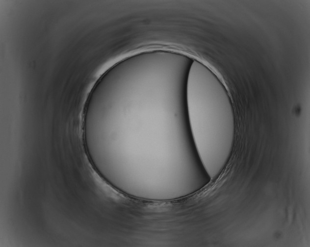 X0000101981535200807180748