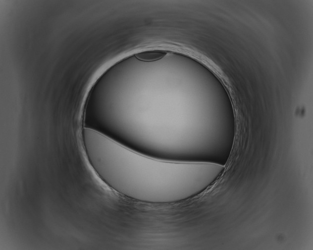 X0000101981536200807180748