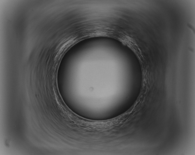 X0000101980001200807181135