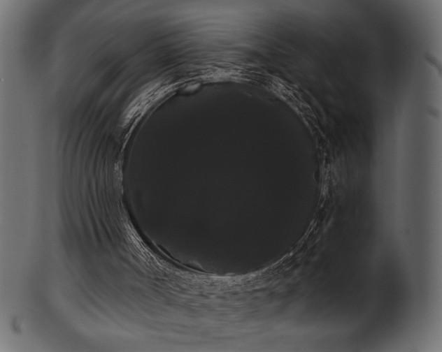 X0000101980002200807181135