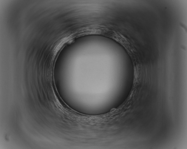 X0000101980003200807181135