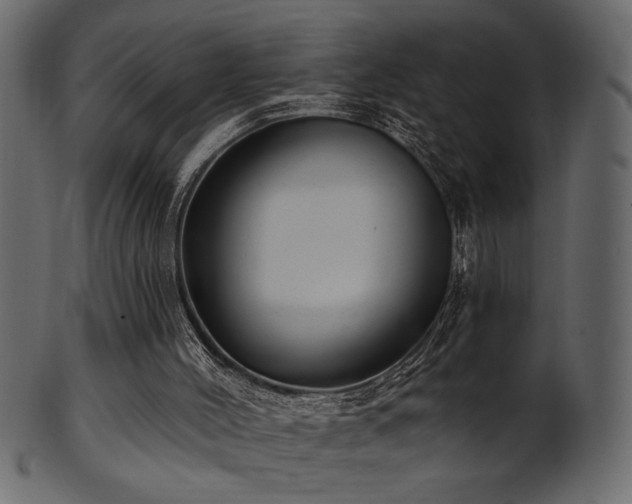 X0000101980004200807181135