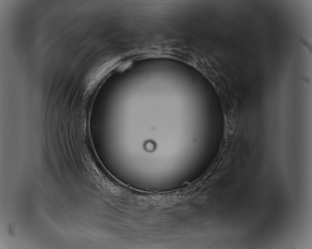 X0000101980005200807181135