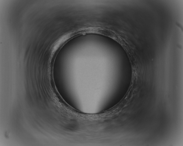 X0000101980006200807181135