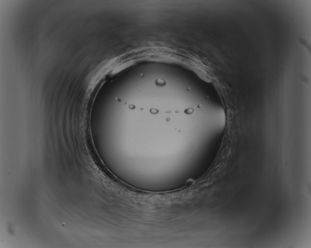 X0000101980007200807181135