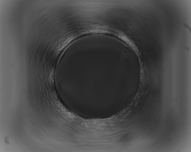 X0000101980009200807181135