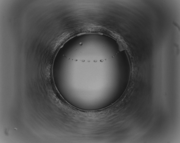 X0000101980010200807181135