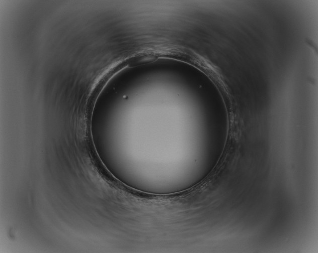 X0000101980012200807181135