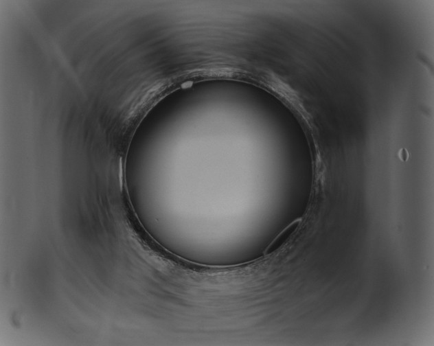 X0000101980013200807181135