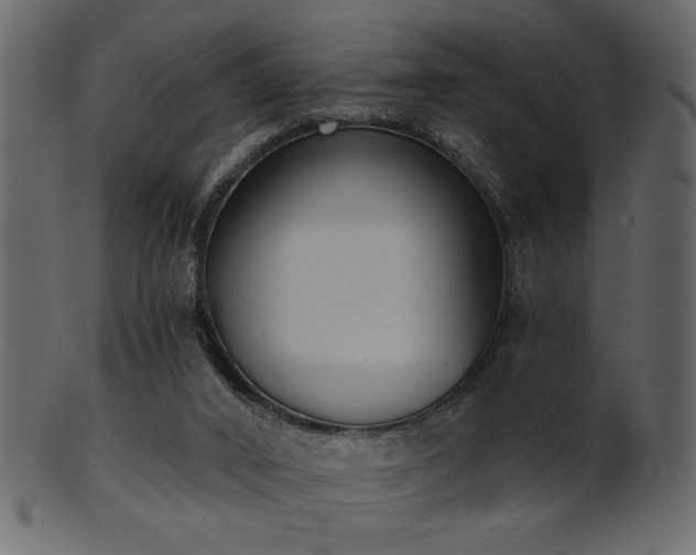 X0000101980016200807181135