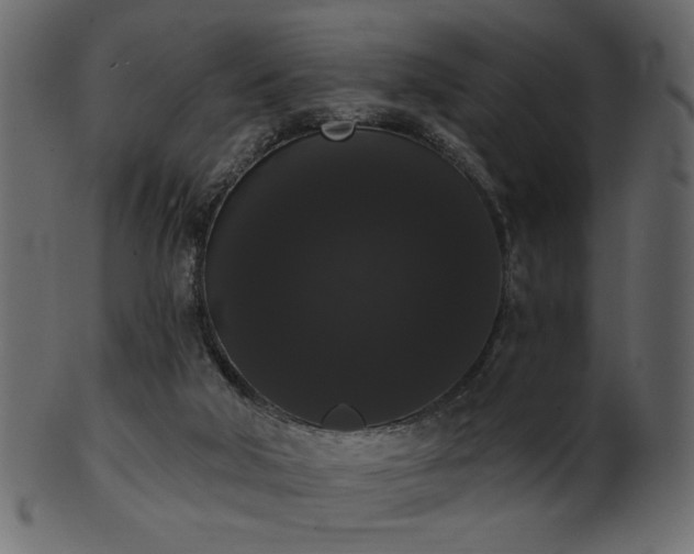 X0000101980018200807181135