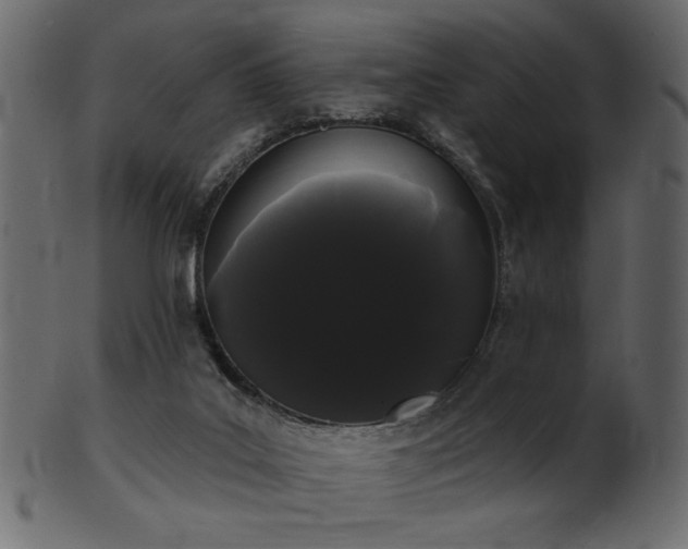 X0000101980019200807181135