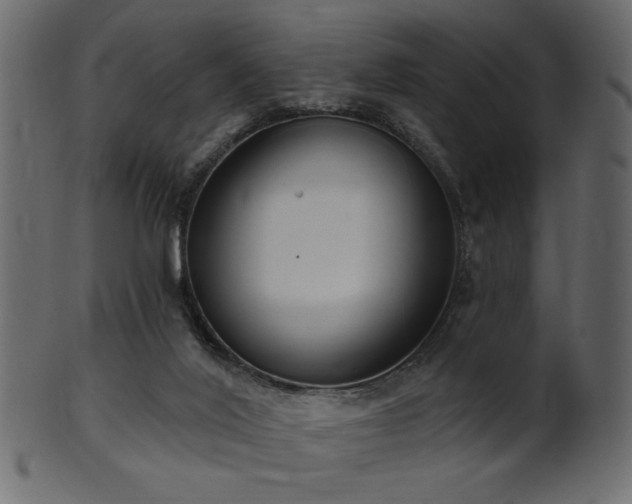 X0000101980020200807181135