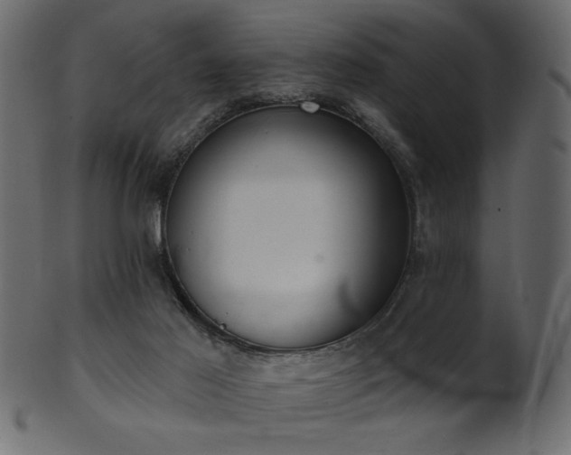 X0000101980021200807181135