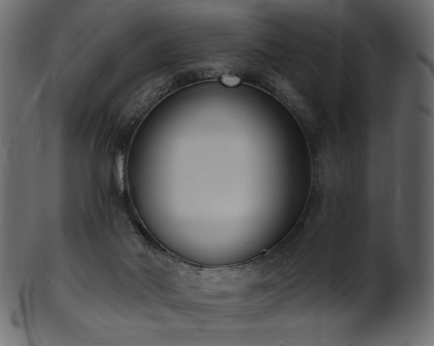 X0000101980022200807181135