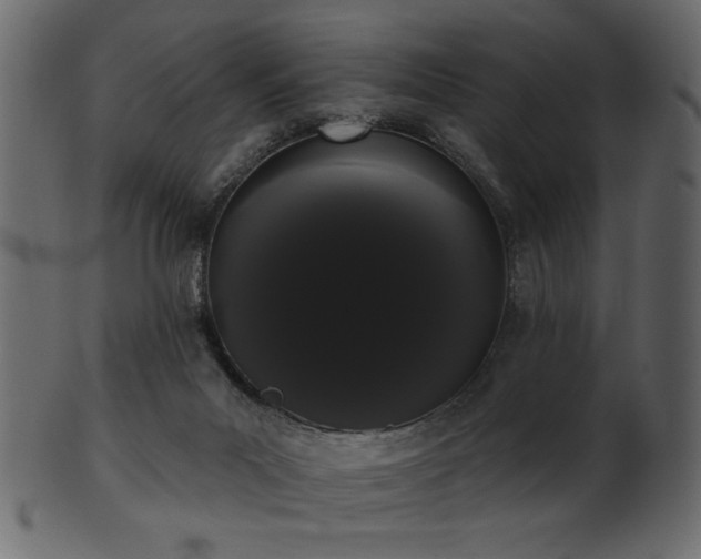 X0000101980023200807181135