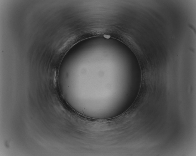 X0000101980024200807181135