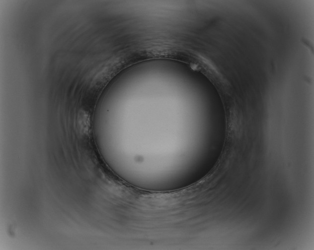 X0000101980025200807181135