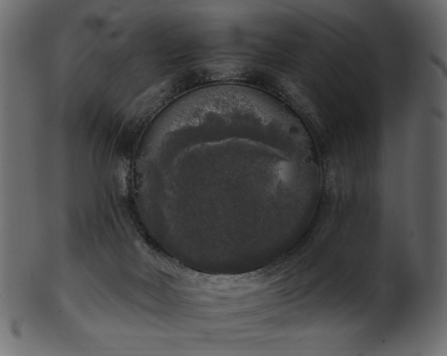 X0000101980026200807181135