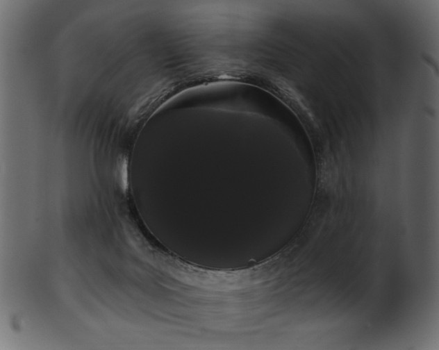 X0000101980027200807181135