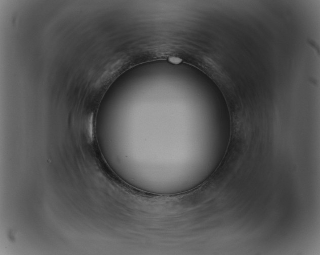 X0000101980028200807181135