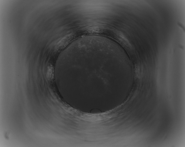 X0000101980029200807181135