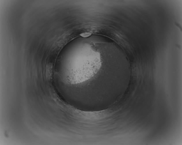 X0000101980030200807181135