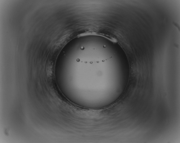 X0000101980032200807181135