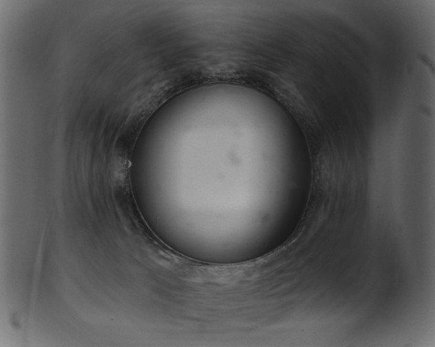 X0000101980033200807181135