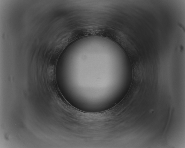 X0000101980034200807181135