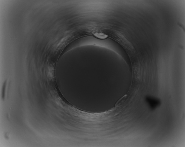 X0000101980035200807181135