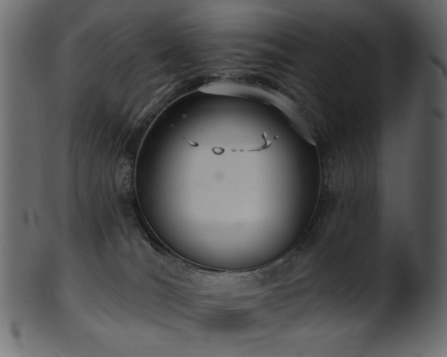 X0000101980036200807181135