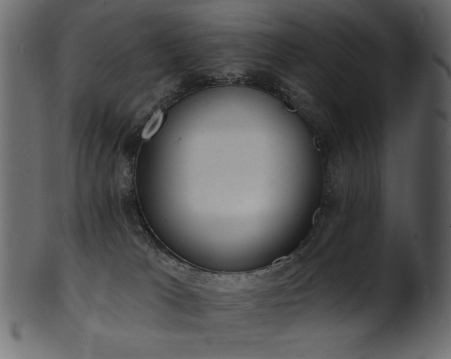 X0000101980037200807181135