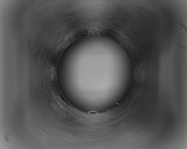 X0000101980038200807181135