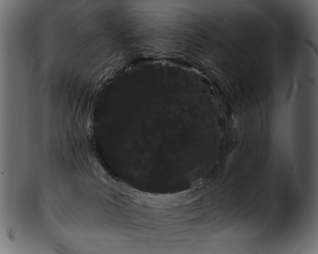 X0000101980039200807181135