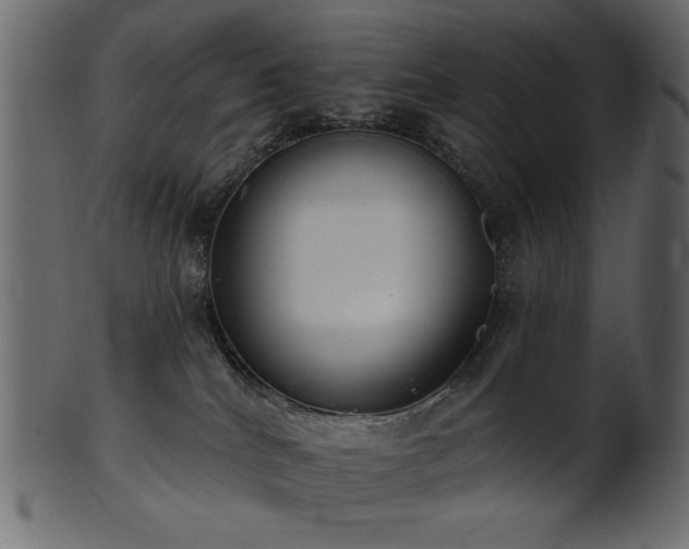 X0000101980040200807181135