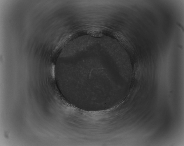 X0000101980041200807181135