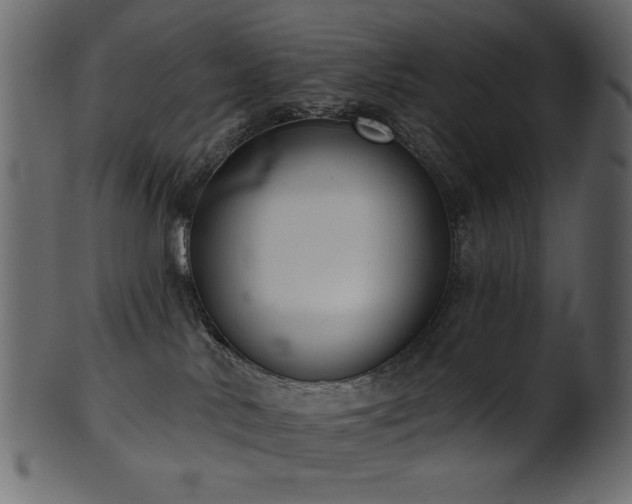 X0000101980042200807181135