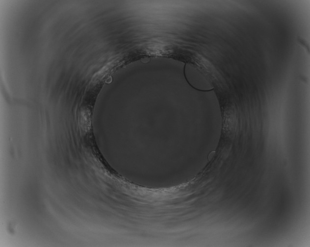 X0000101980043200807181135