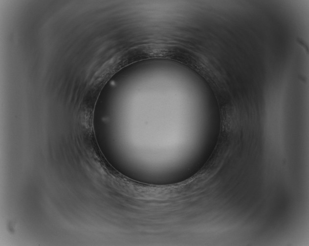 X0000101980044200807181135