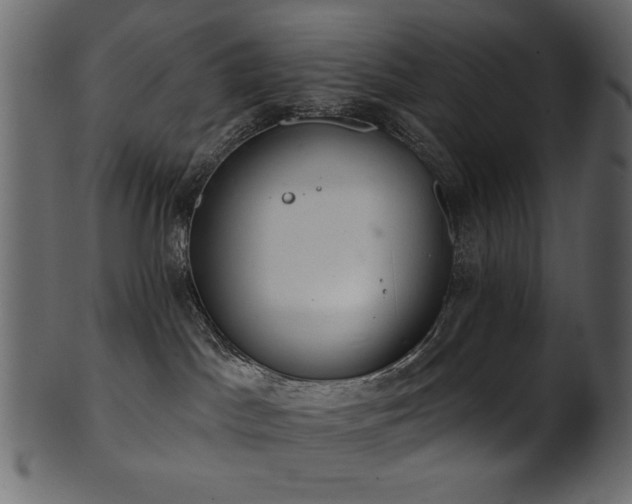 X0000101980045200807181135