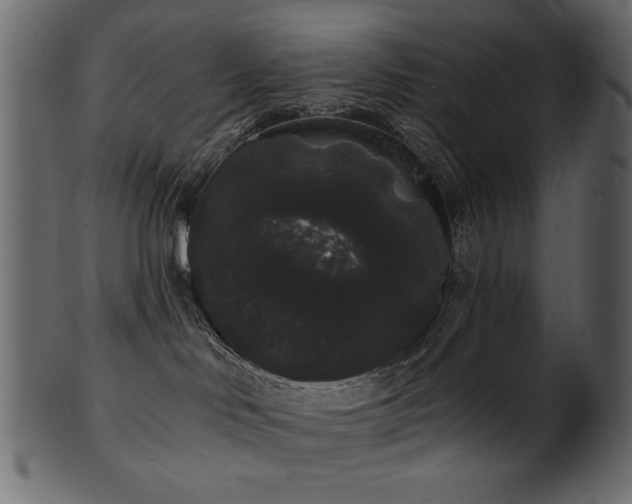 X0000101980046200807181135